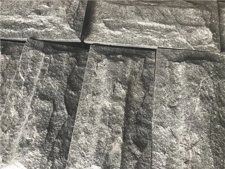Natural Mushroom Granite Tiles